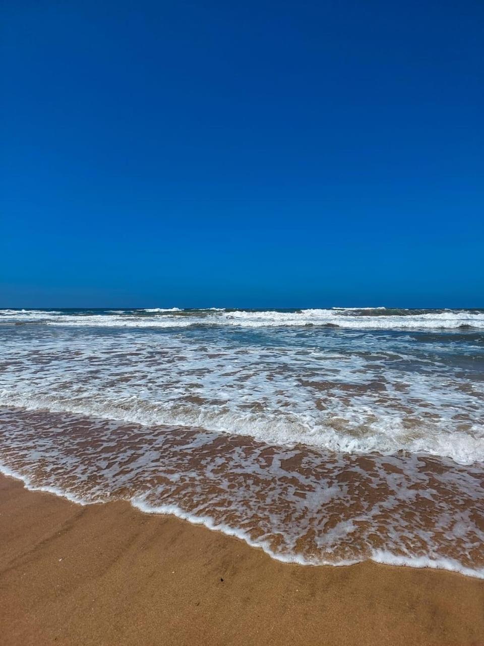 בוזניקה Bel Appartement De Plage - Rdc - Dahomey Beach מראה חיצוני תמונה